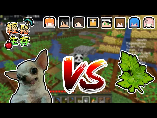 【minecraft】世紀大抉擇,香菜v.s吉娃娃究竟團團會選擇哪一個呢...輕鬆生存|我的世界【熊貓團團】